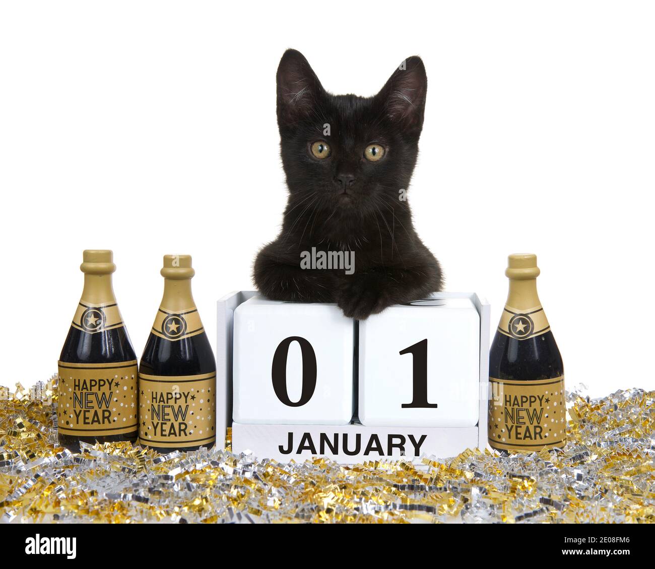 Adorable black kitten relaxed laying on calendar blocks with Holiday