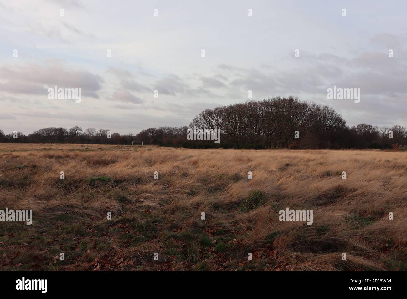 Wanstead hires stock photography and images Alamy