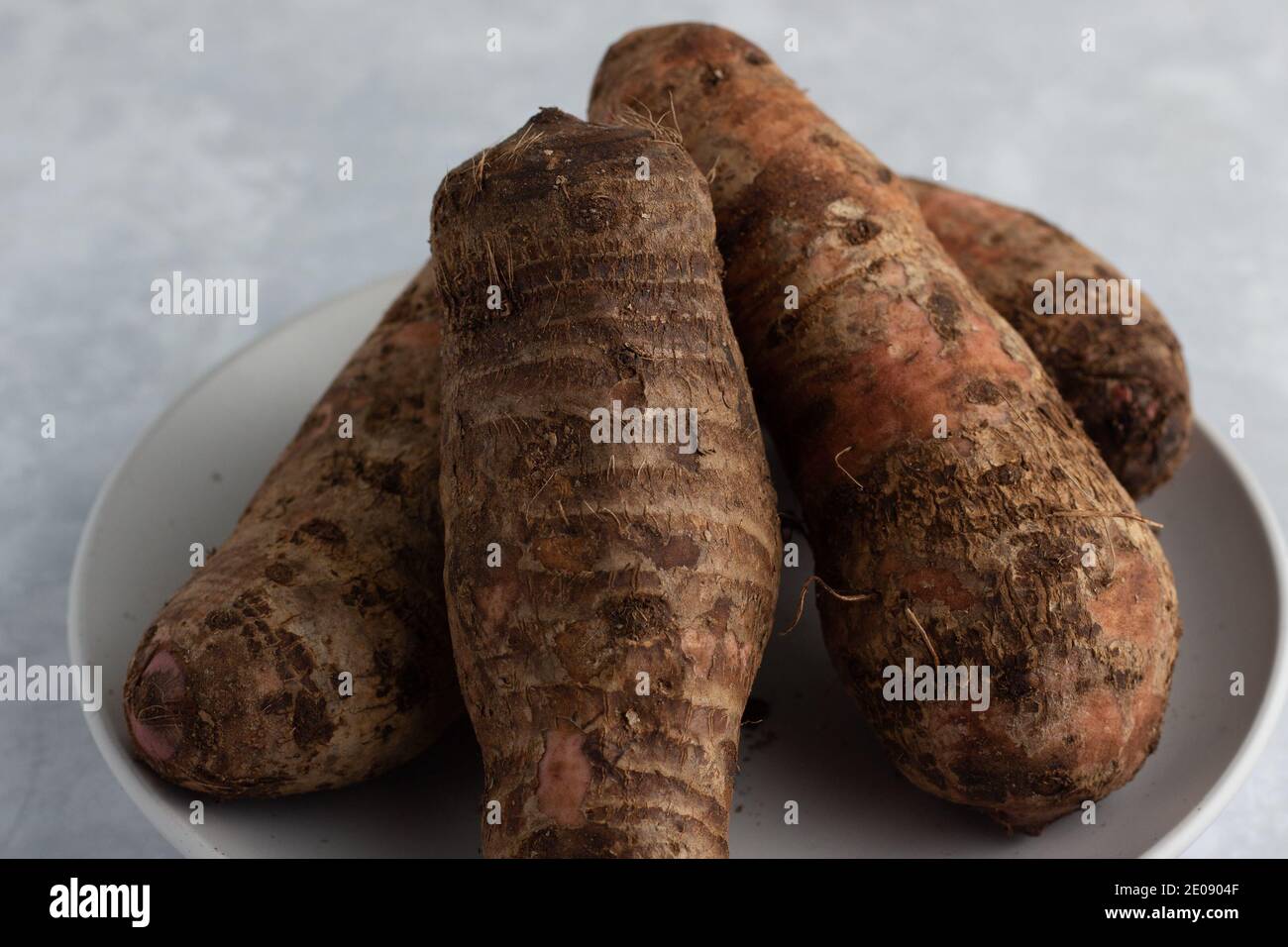 Cocoyam. Dasheen. Eddo. Taro. Tropical root crop Stock Photo