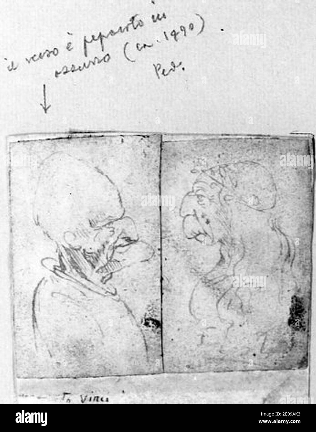 Grotesque Drawings Leonardo da Vinci - Male Grotesque, 1620 Stock Photo - Alamy