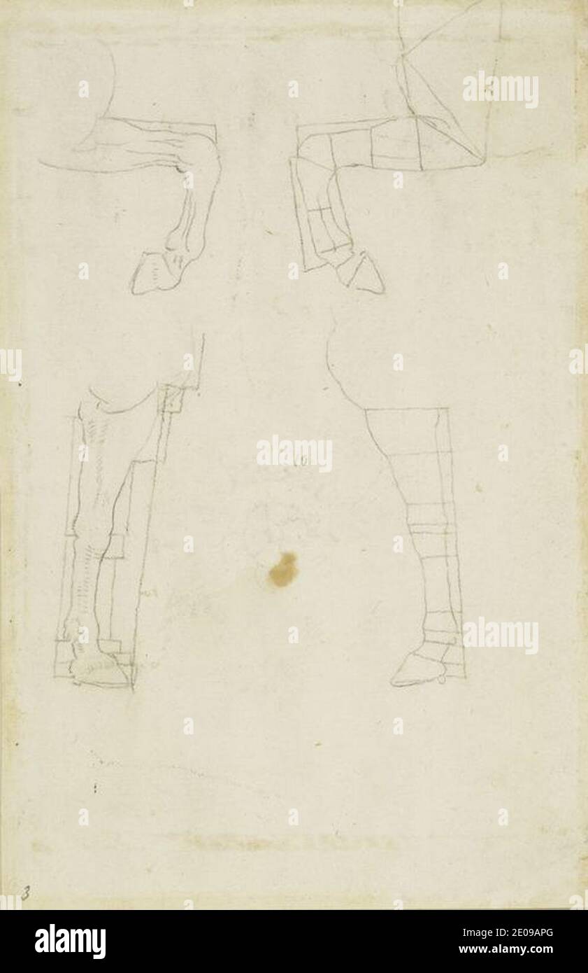 Leonardo da Vinci - v, Horses' fore-legs divided by lines c.1517-18. Stock Photo