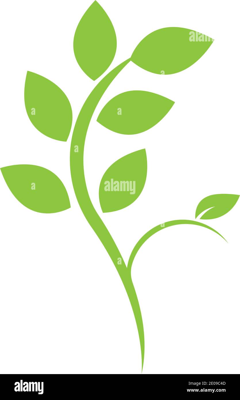Logos of green Tree leaf ecology nature element vector Stock Vector ...