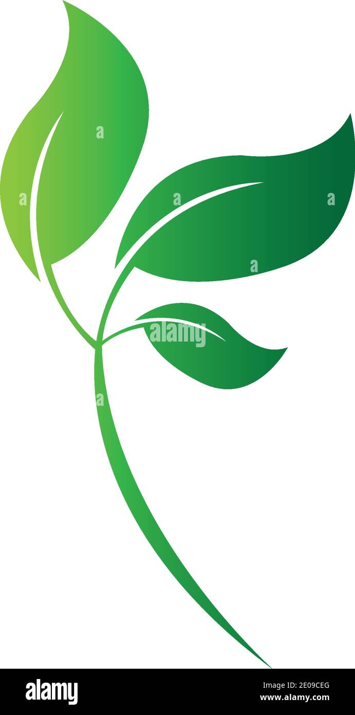 Logos of green Tree leaf ecology nature element vector Stock Vector ...