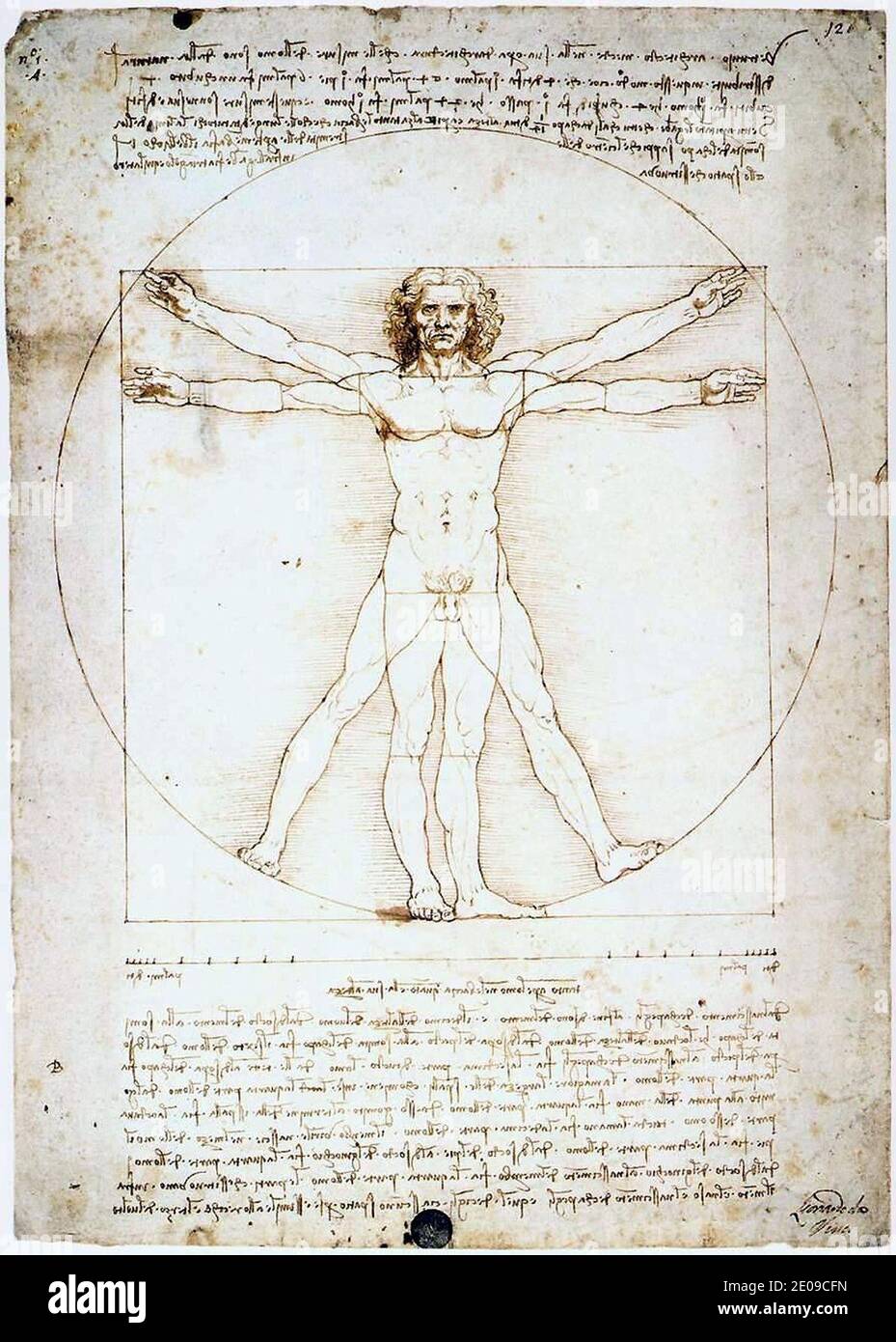 Leonardo da Vinci- Vitruvian Man. Stock Photo