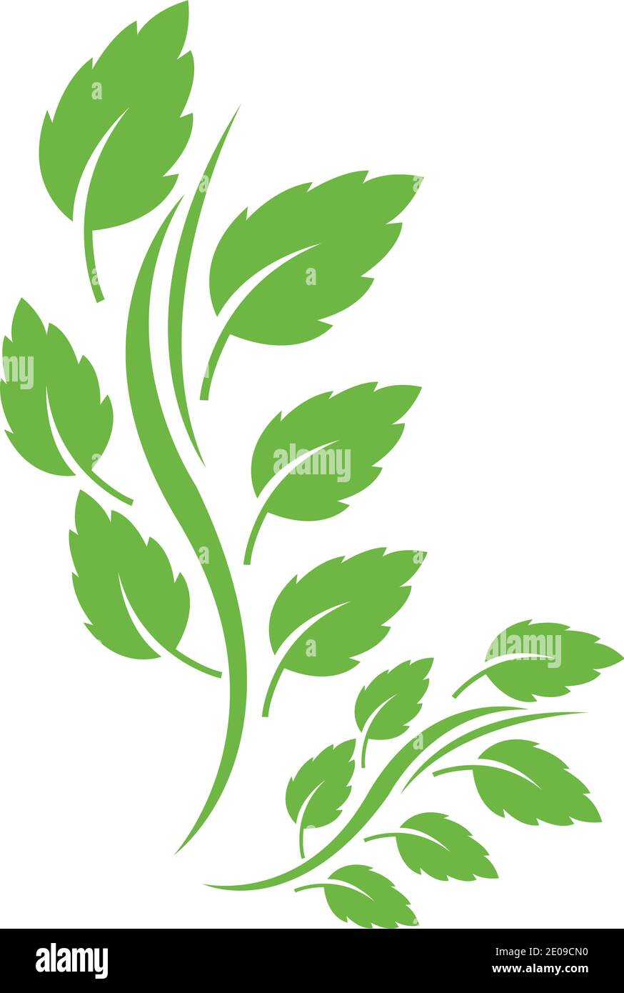Logos of green Tree leaf ecology nature element vector Stock Vector