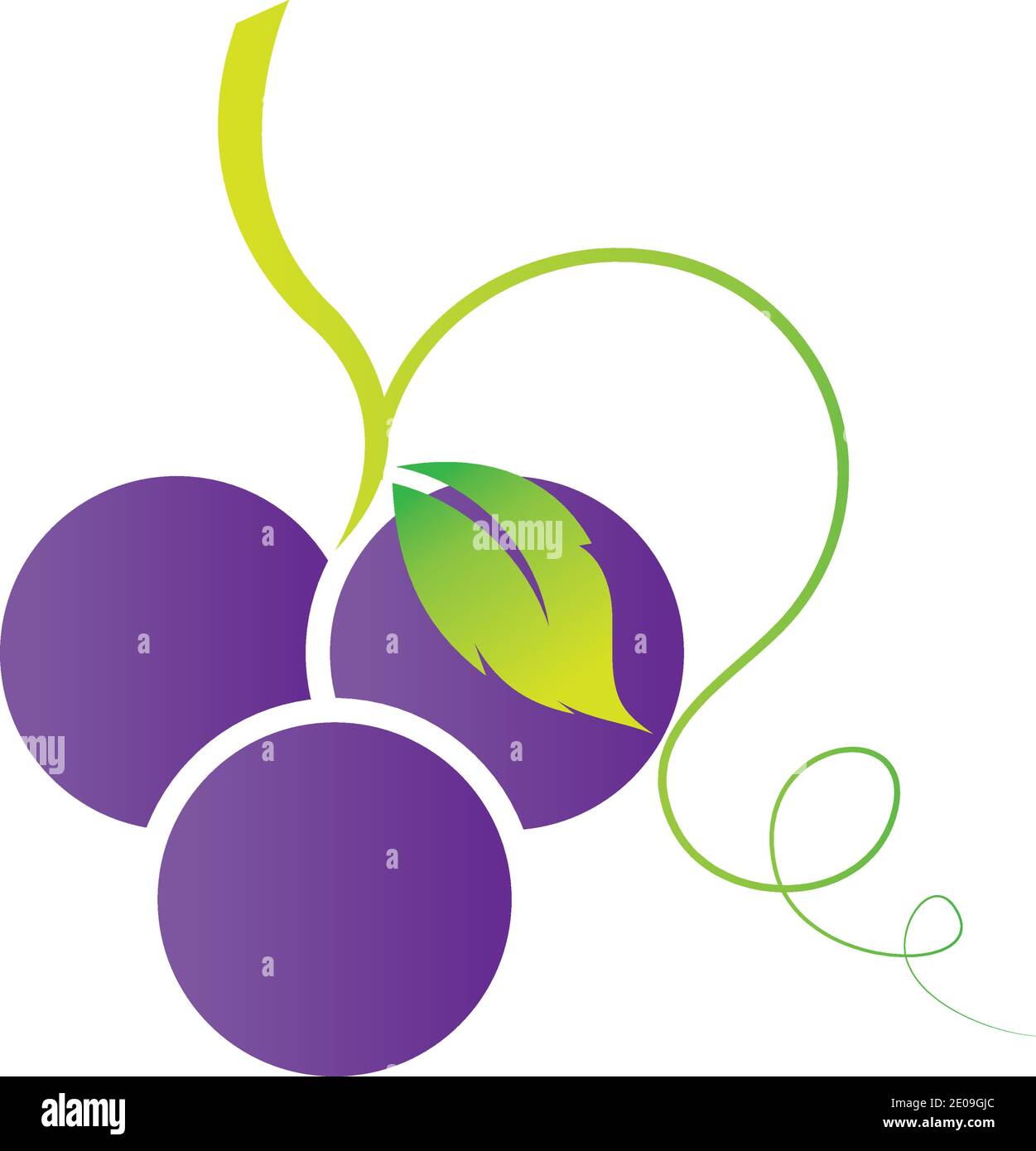 Grapes icon vector illustration design template Stock Vector