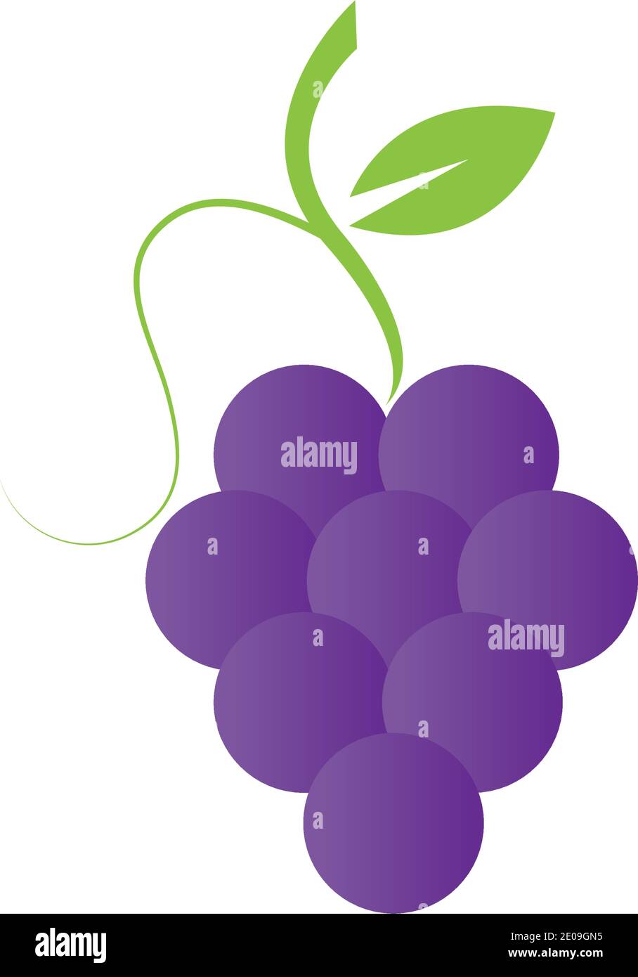 Grapes icon vector illustration design template Stock Vector