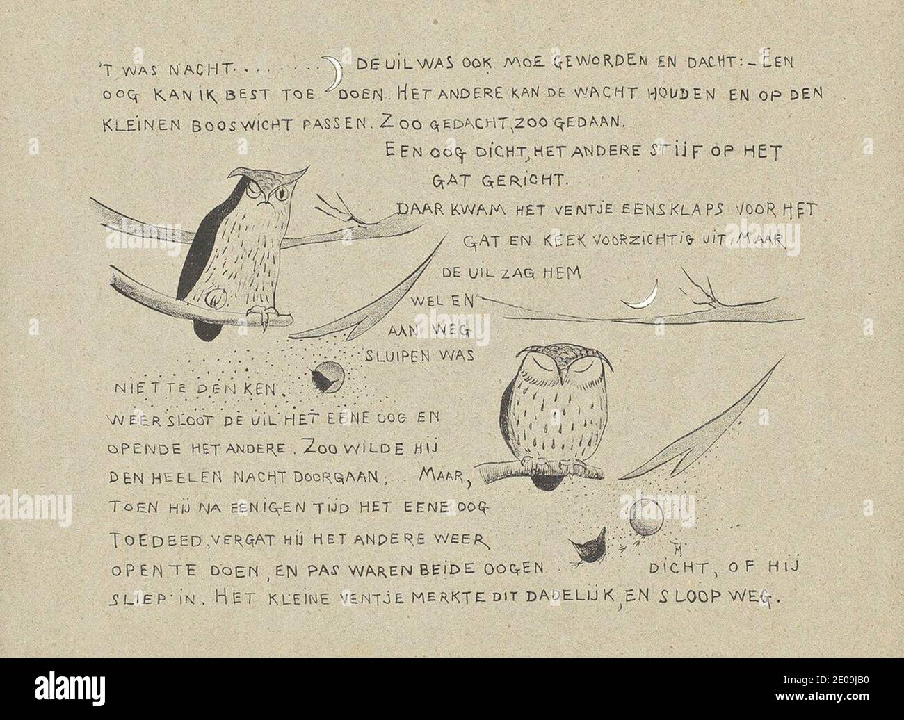 Leroidesoiseaux-29. Stock Photo