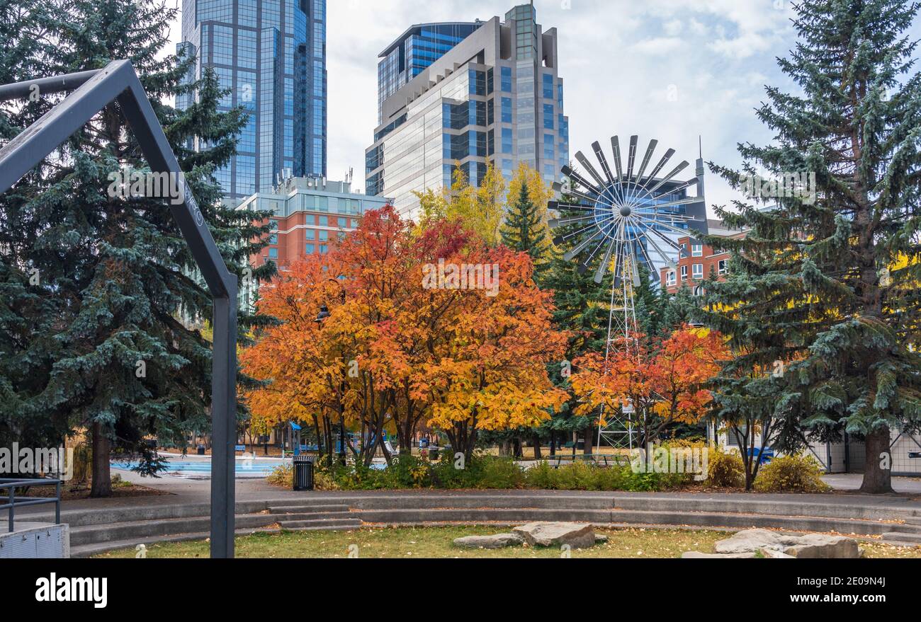 Prince island park calgary hi-res stock photography and images - Alamy