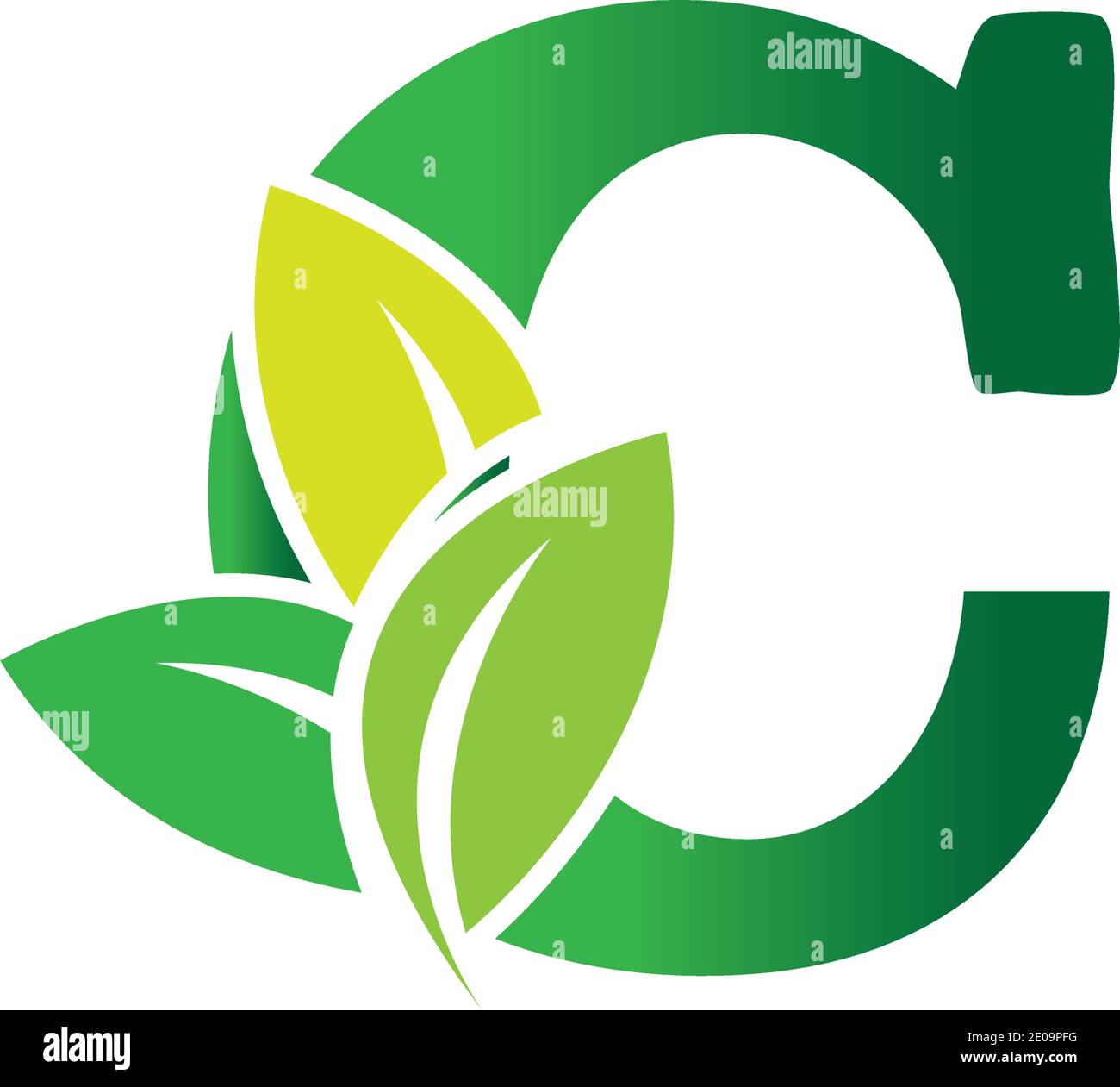 Green eco letters C logo with leaves. /symbol / alphabet / botanical / natural Letter C eco leaves logo icon design template elements. Vector color si Stock Vector Image & - Alamy