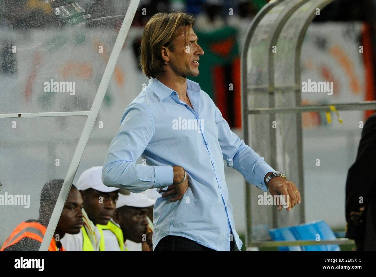 Herve Renard High Resolution Stock Photography and Images - Alamy