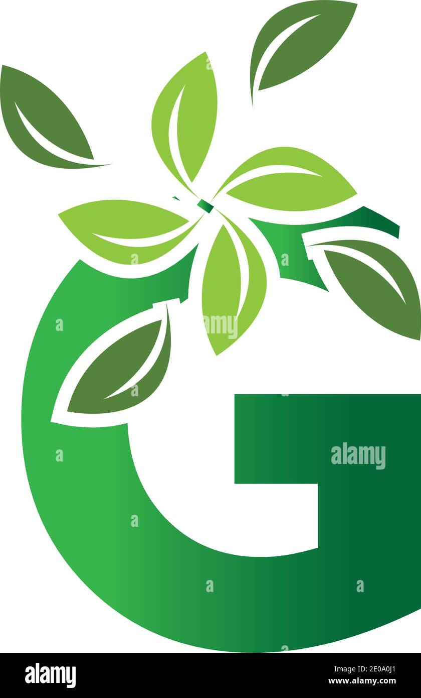 green eco leaf letter G logo illustration design template Stock Vector ...