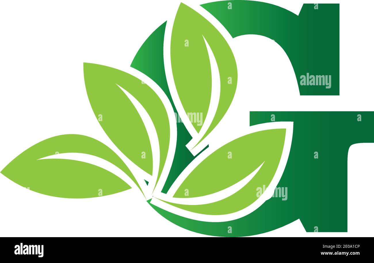 green eco leaf letter G logo illustration design template Stock Vector ...