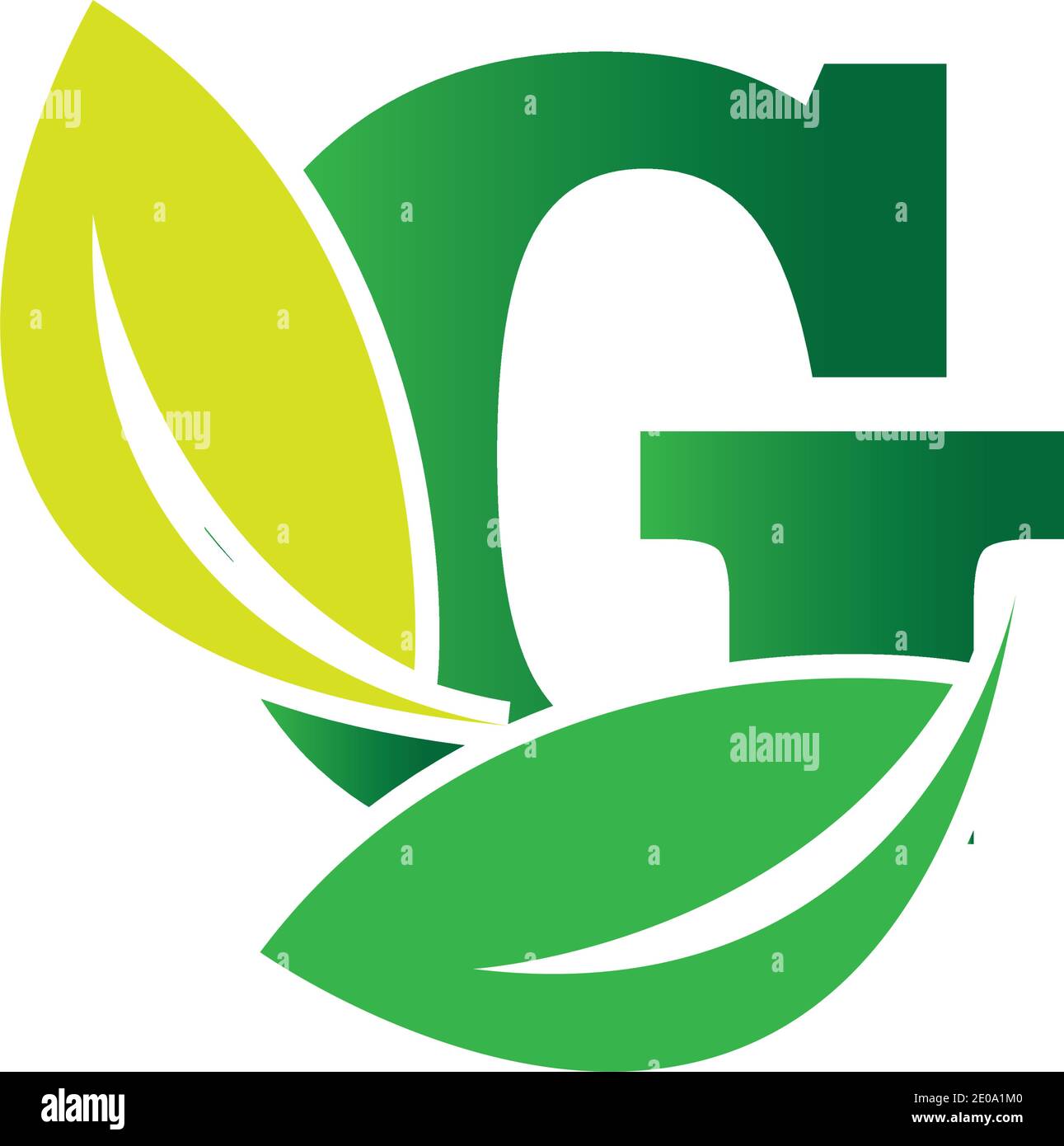 green eco leaf letter G logo illustration design template Stock Vector ...