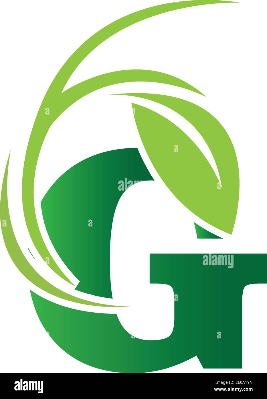 green eco leaf letter G logo illustration design template Stock Vector ...