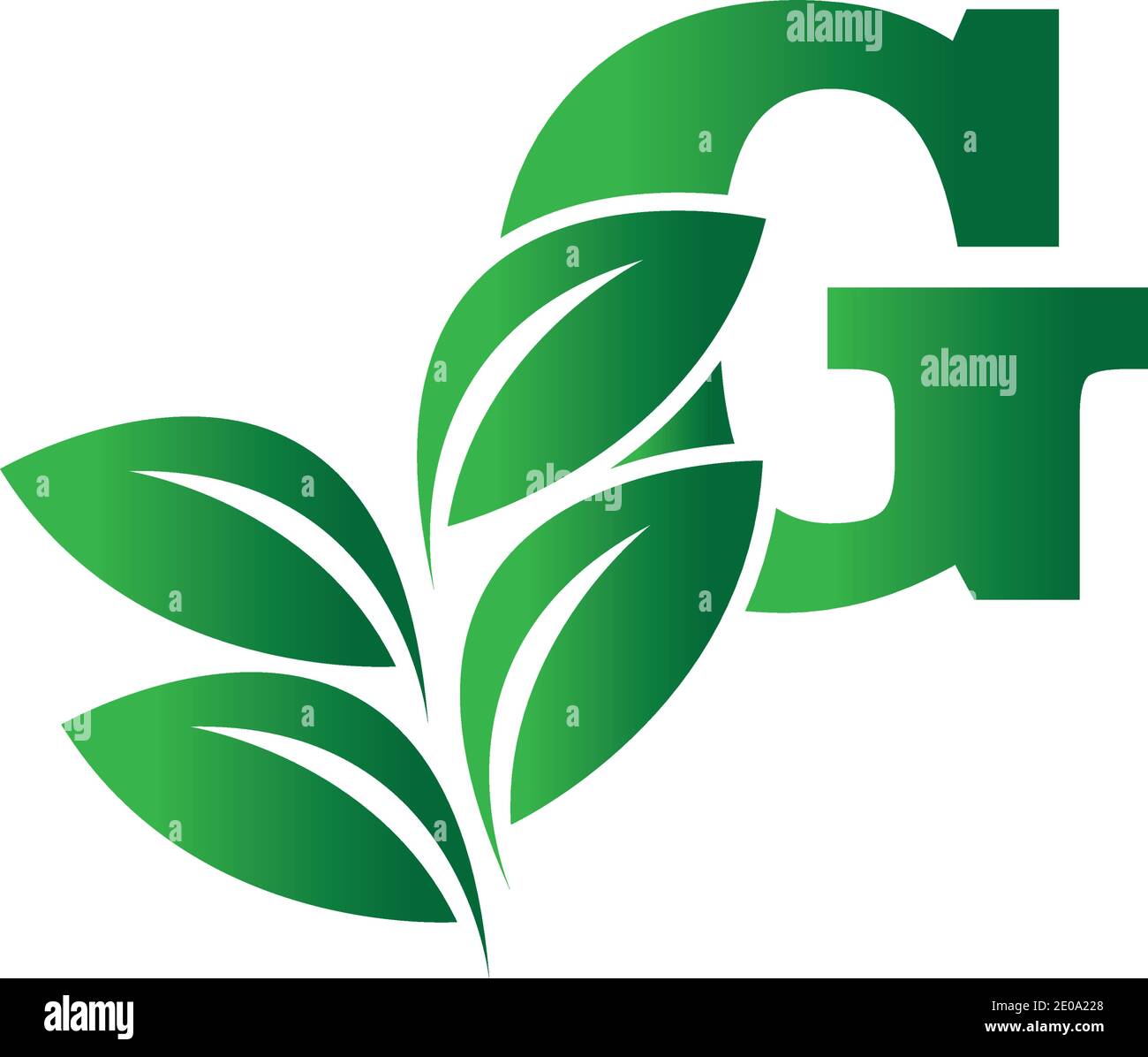 green eco leaf letter G logo illustration design template Stock Vector ...