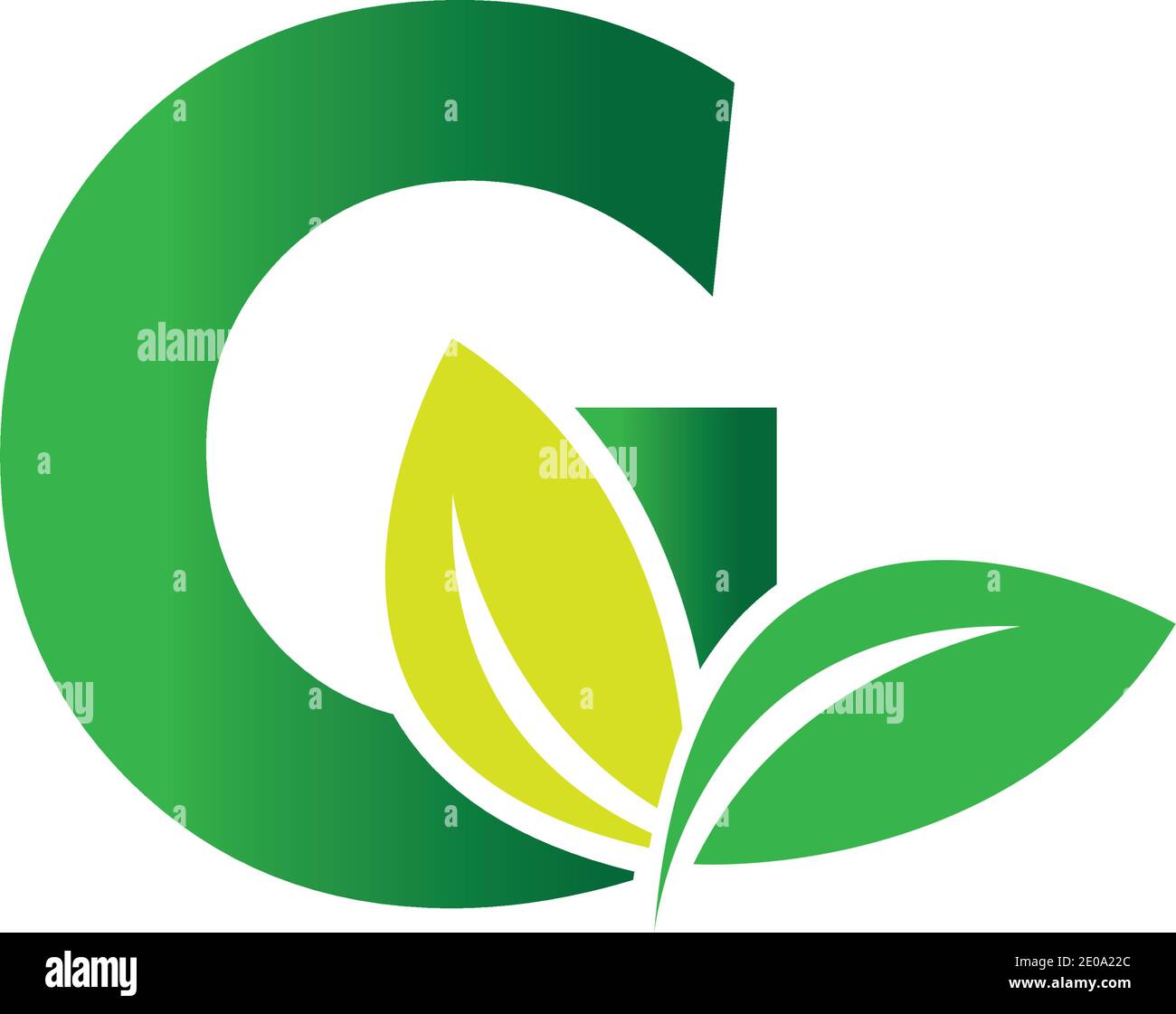 green eco leaf letter G logo illustration design template Stock Vector ...