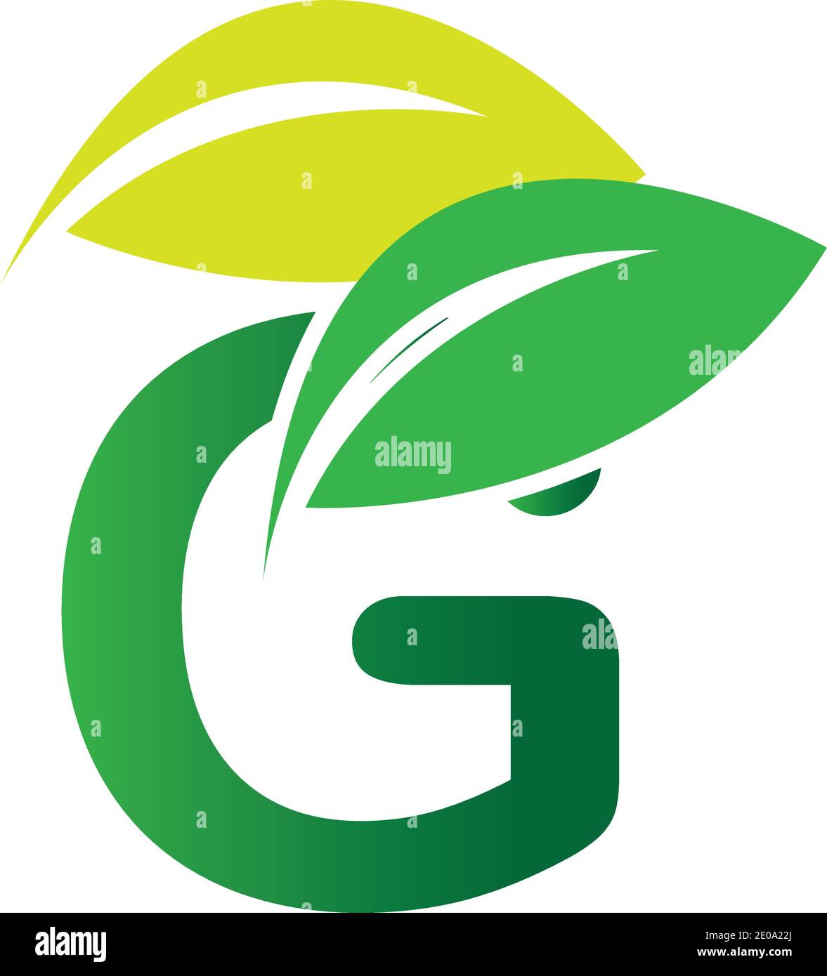 green eco leaf letter G logo illustration design template Stock Vector ...