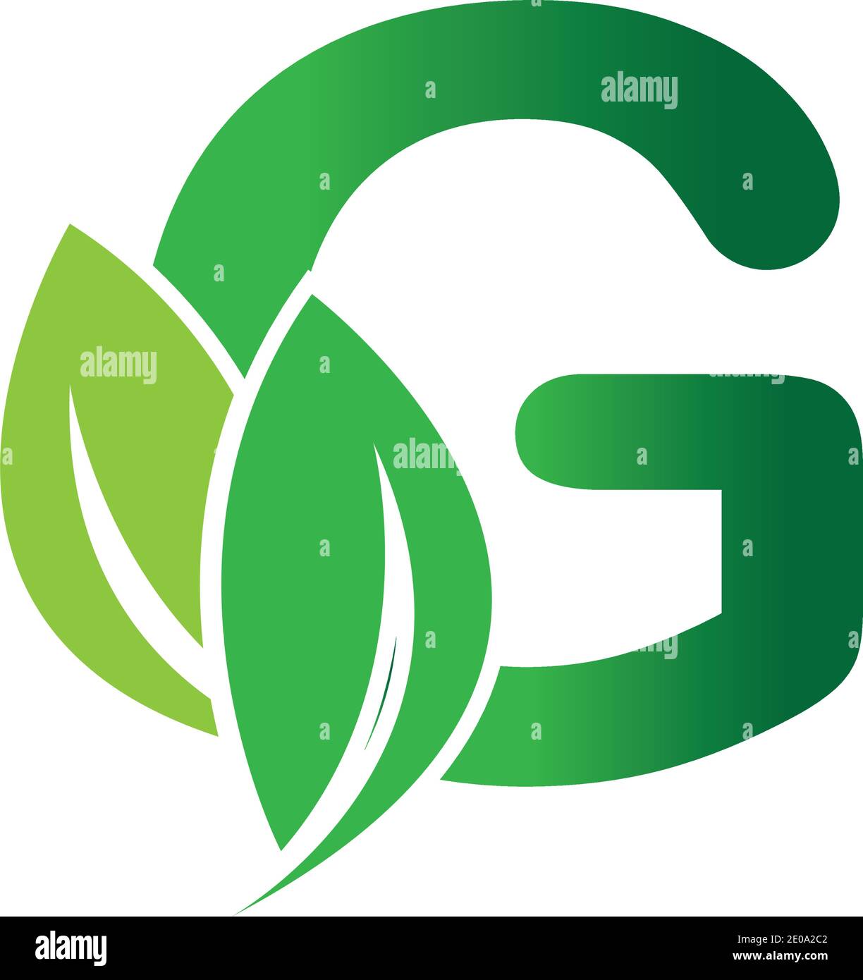 green eco leaf letter G logo illustration design template Stock Vector ...