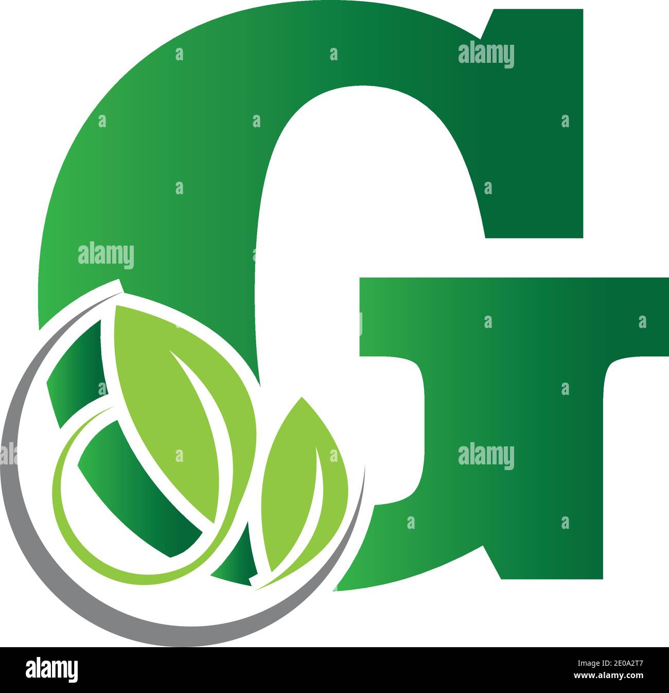 green eco leaf letter G logo illustration design template Stock Vector ...