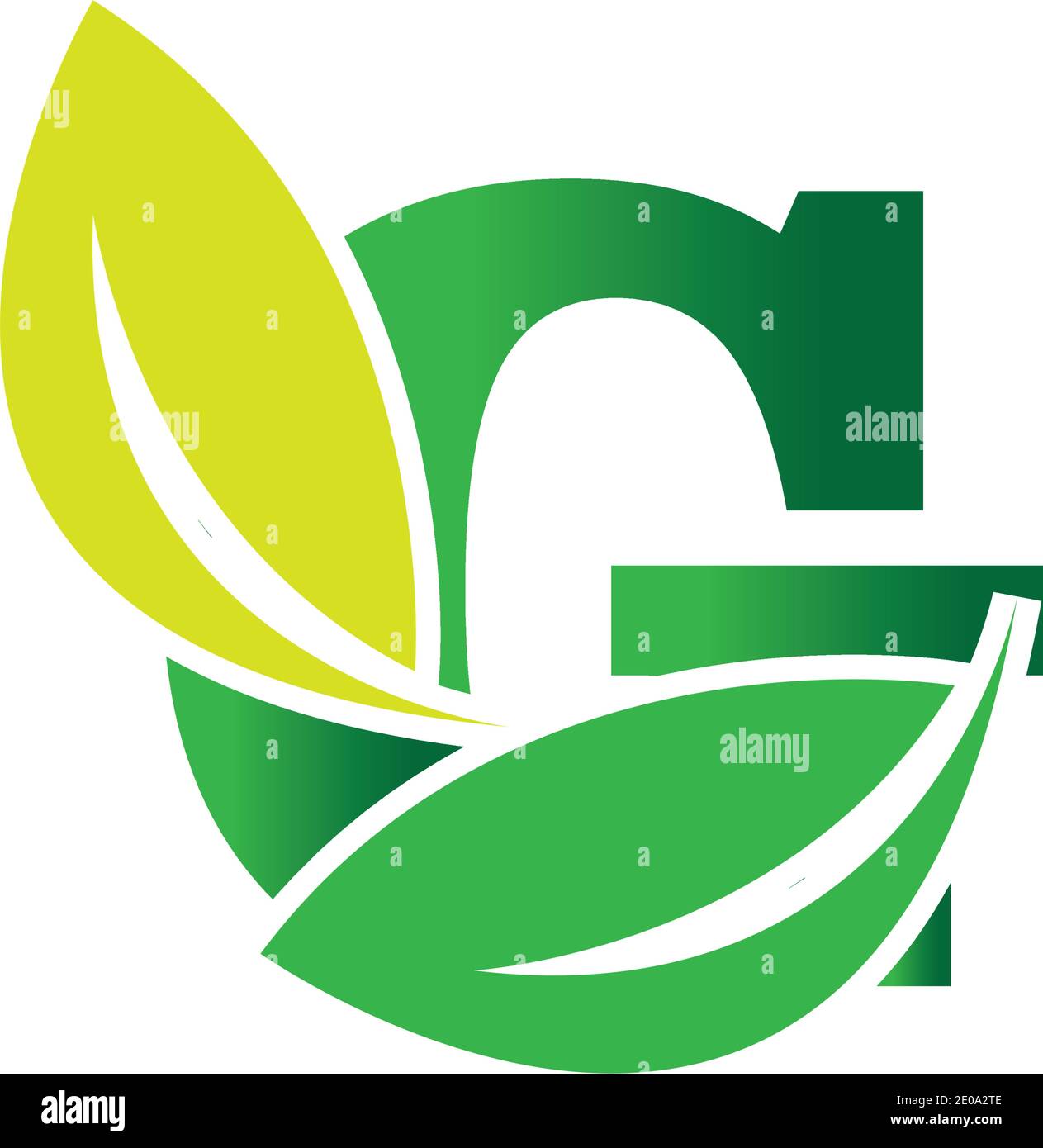 green eco leaf letter G logo illustration design template Stock Vector ...