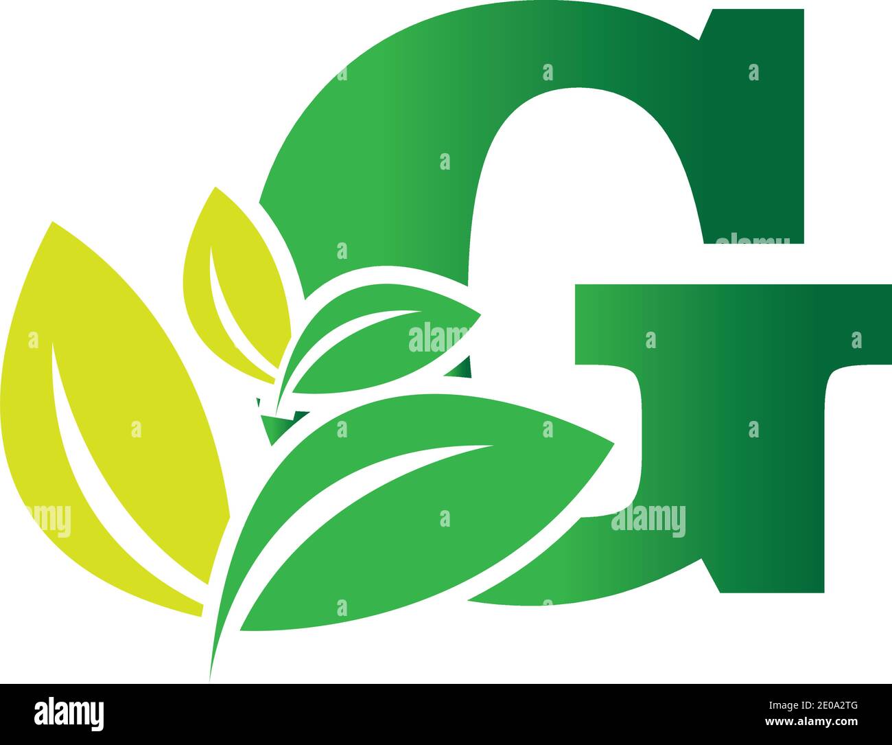 green eco leaf letter G logo illustration design template Stock Vector ...
