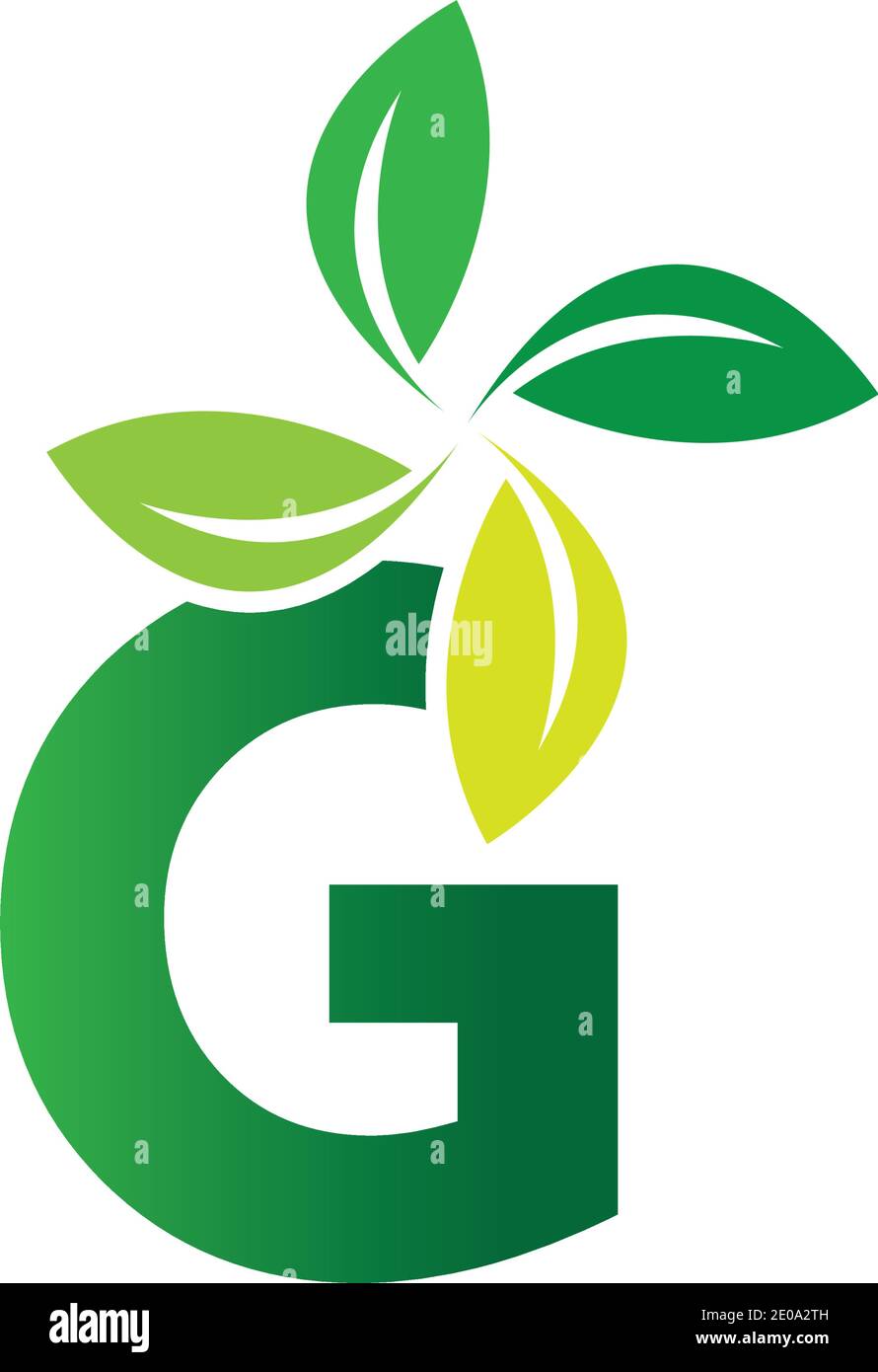 green eco leaf letter G logo illustration design template Stock Vector ...