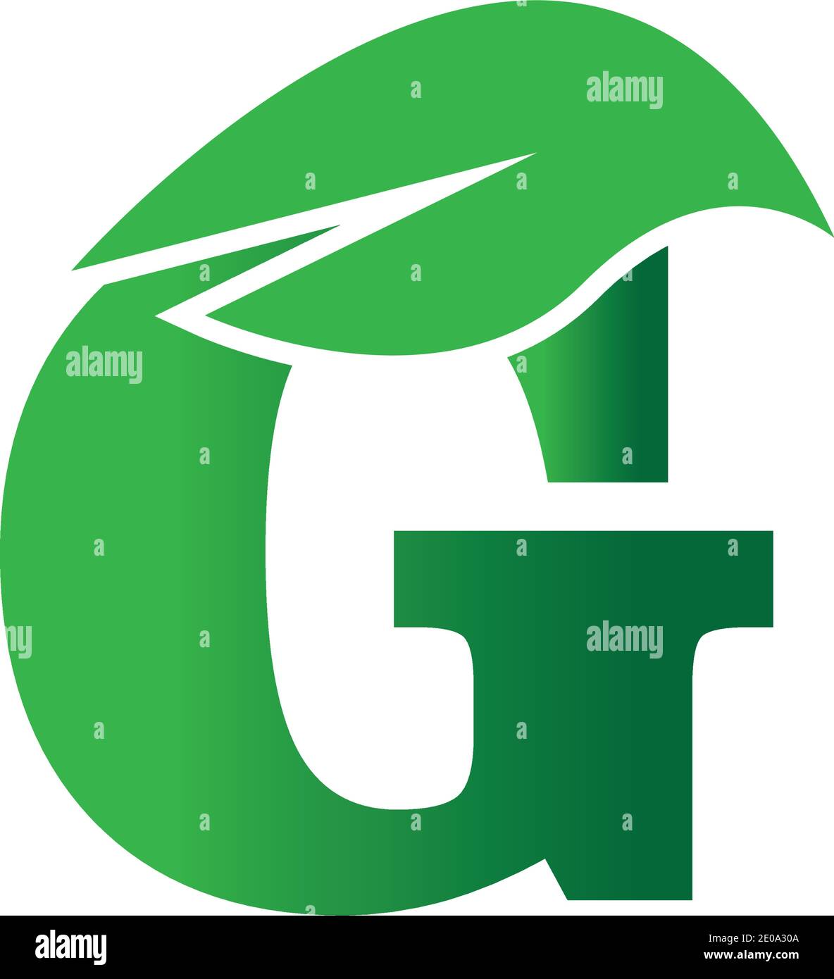 green eco leaf letter G logo illustration design template Stock Vector ...