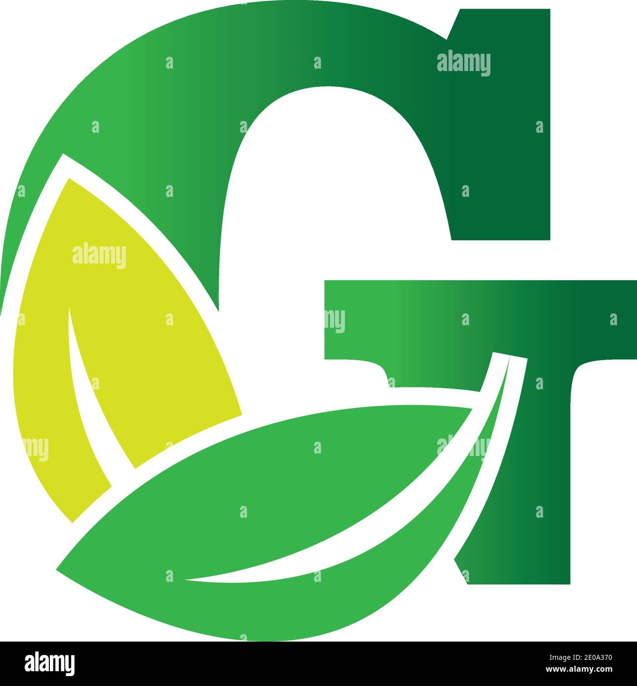 green eco leaf letter G logo illustration design template Stock Vector ...