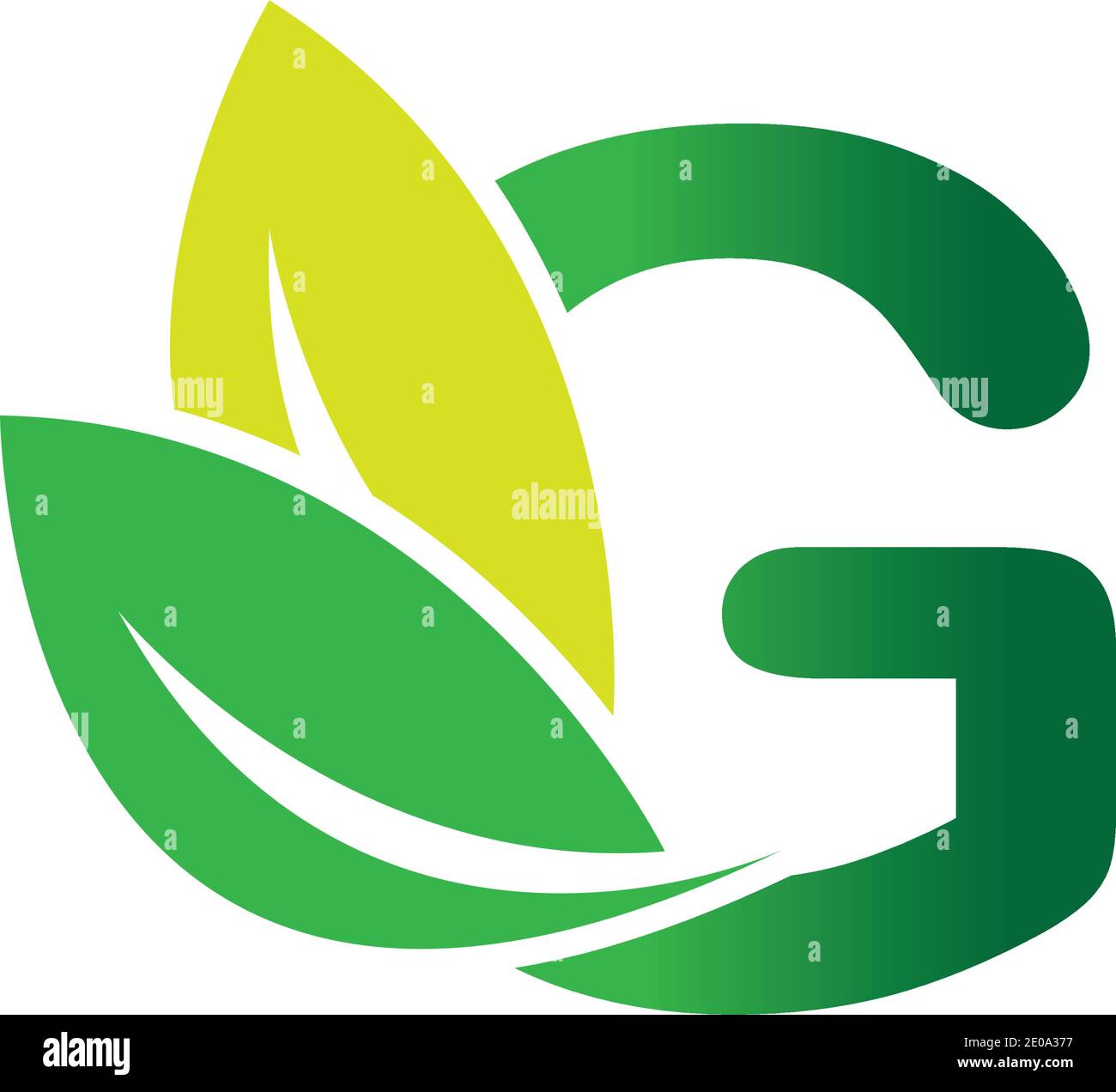 green eco leaf letter G logo illustration design template Stock Vector ...