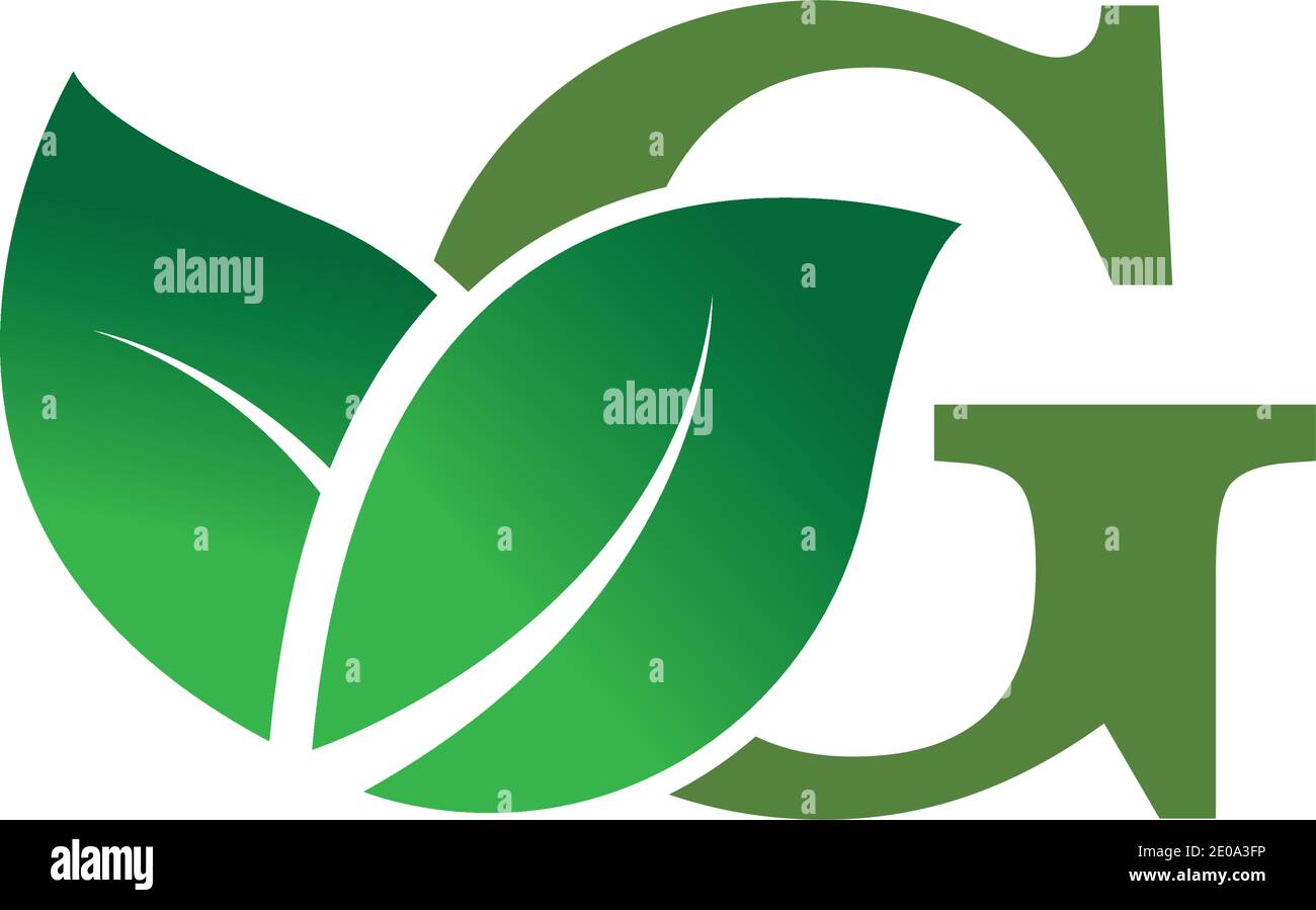 green eco leaf letter G logo illustration design template Stock Vector ...