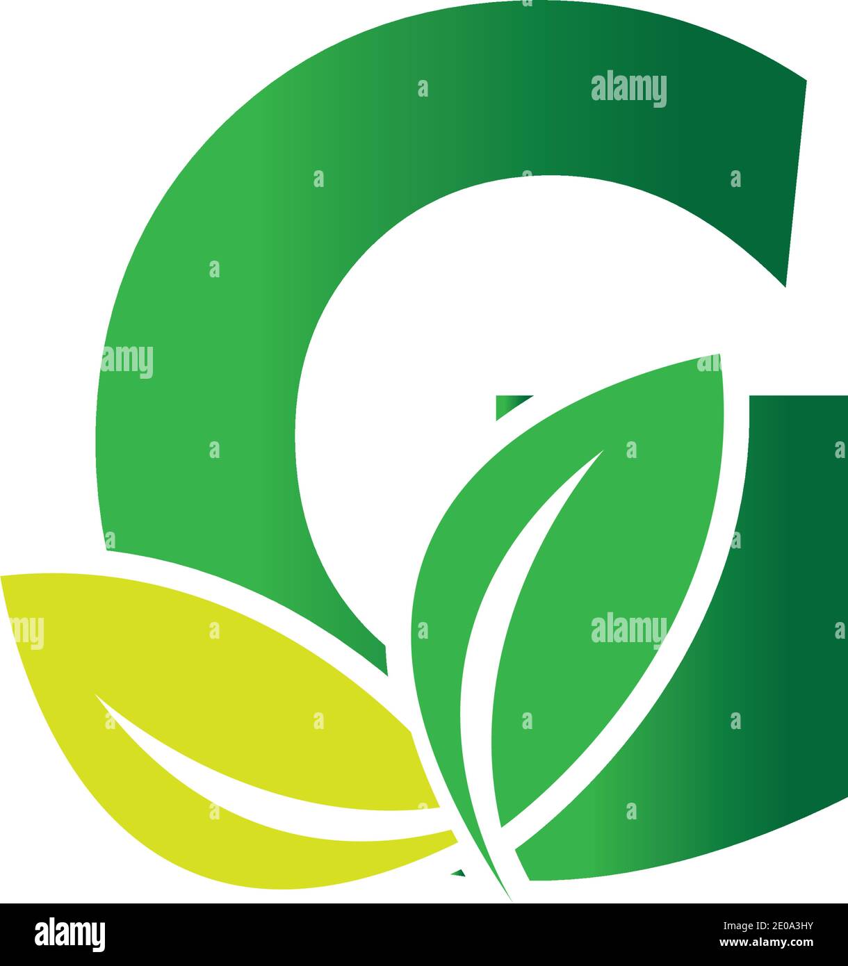 green eco leaf letter G logo illustration design template Stock Vector ...