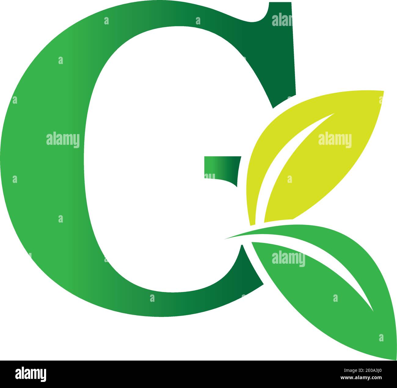 green eco leaf letter G logo illustration design template Stock Vector ...