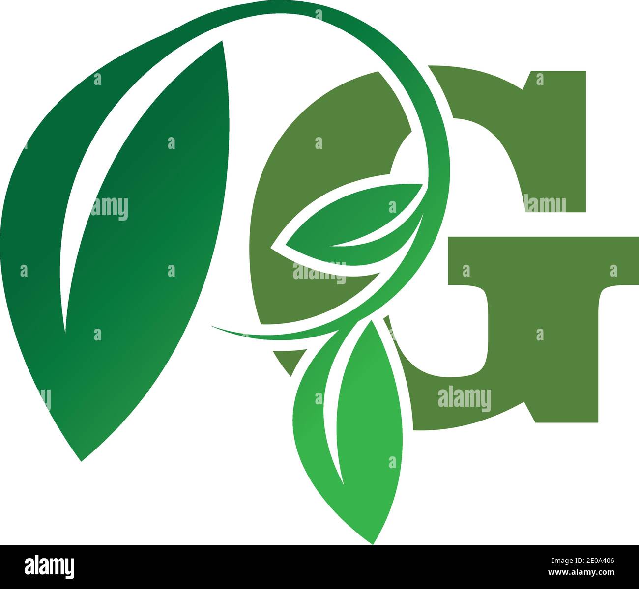 green eco leaf letter G logo illustration design template Stock Vector ...