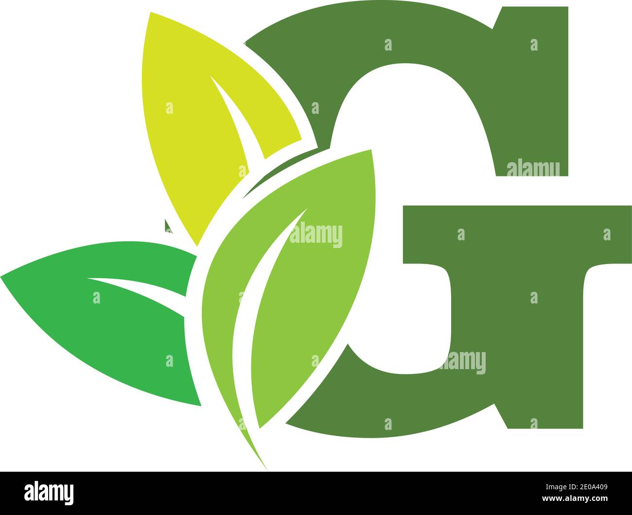 green eco leaf letter G logo illustration design template Stock Vector ...
