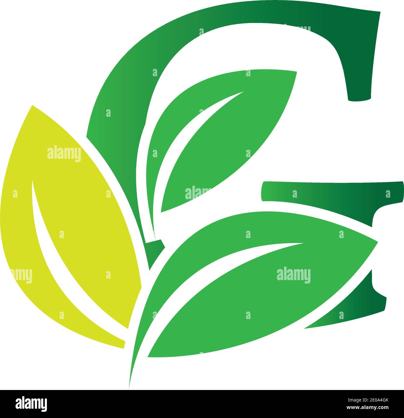 green eco leaf letter G logo illustration design template Stock Vector ...