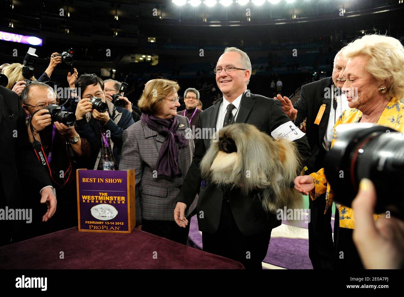 Malachy the Pekingese wins the best in show at the 136th Annual Westminster Kennel Club dog show, held at Madison Square Garden in New York City, NY, USA on February 14, 2012. Photo by Graylock/ABACAPRESS.COM Stock Photo