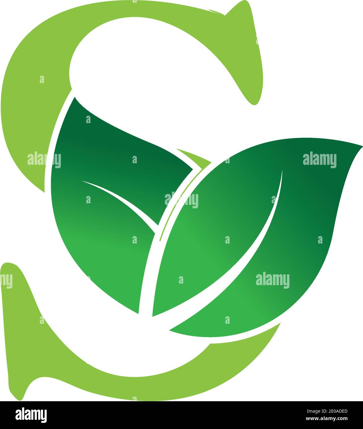 Letter S With Leaf Nature Initial Logo Design Template Vector ...