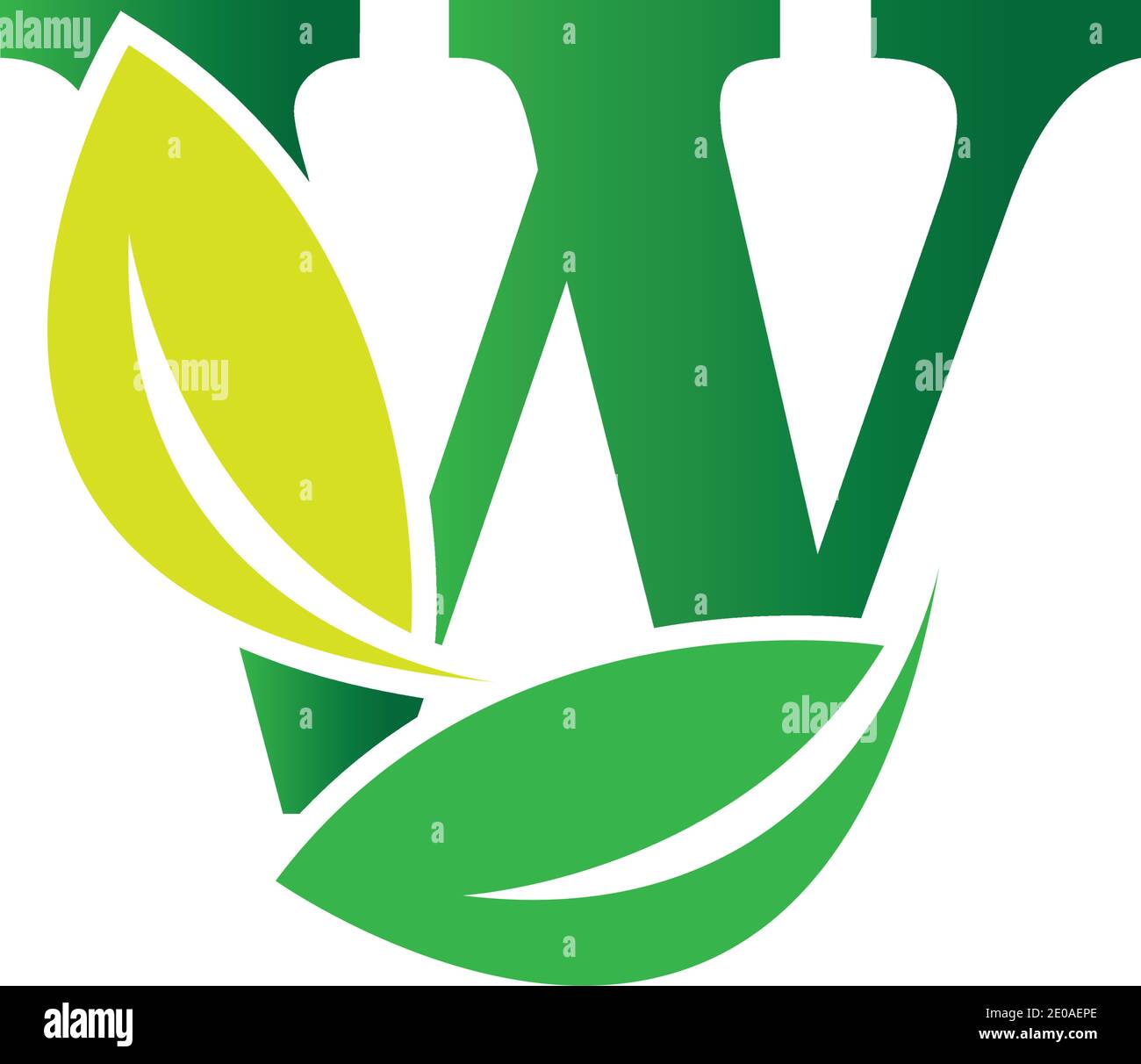 Letter W Leaf Logo Design Vector Template Stock Vector Image & Art - Alamy
