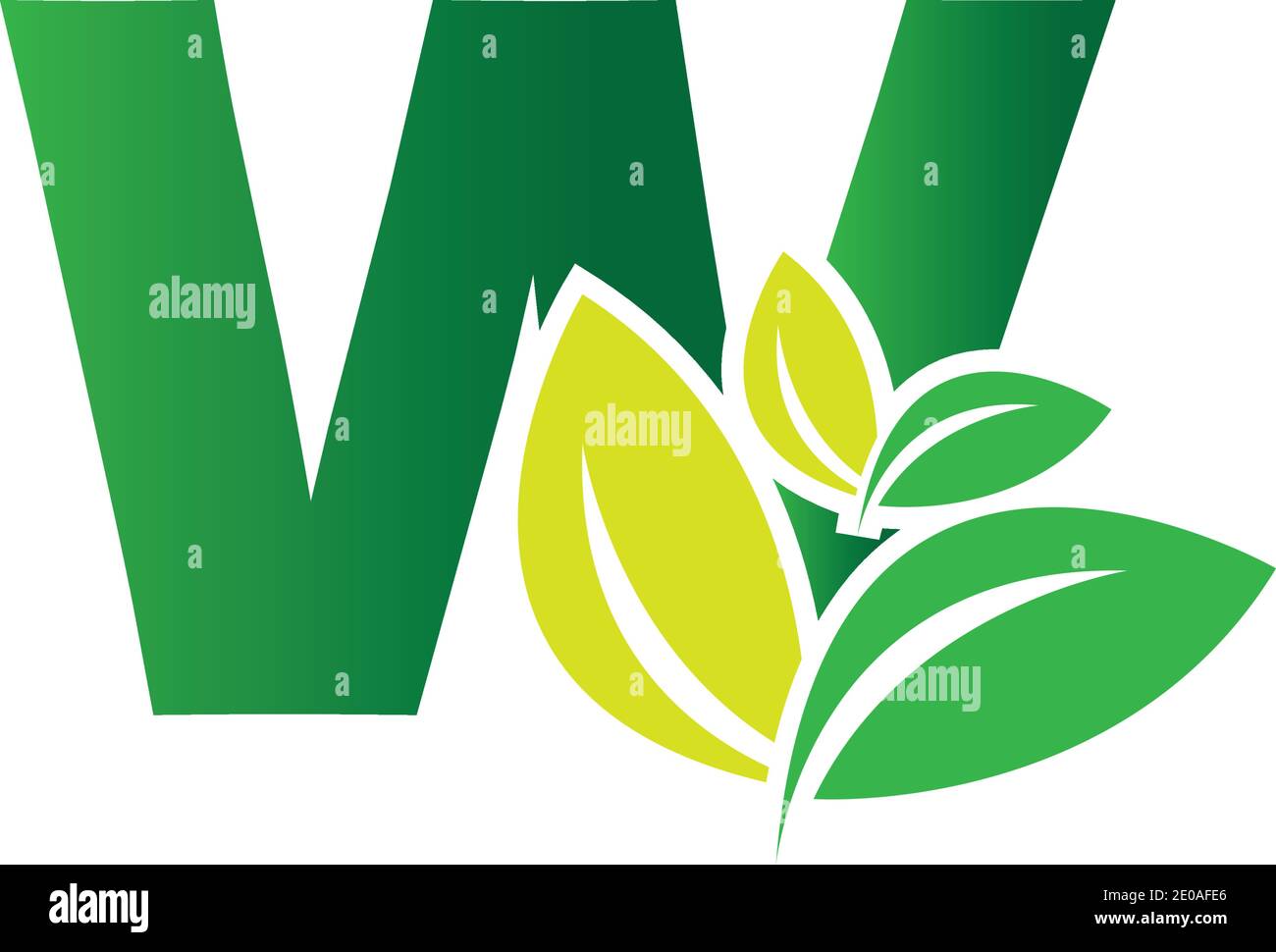 Letter W Leaf Logo Design Vector Template Stock Vector Image & Art - Alamy