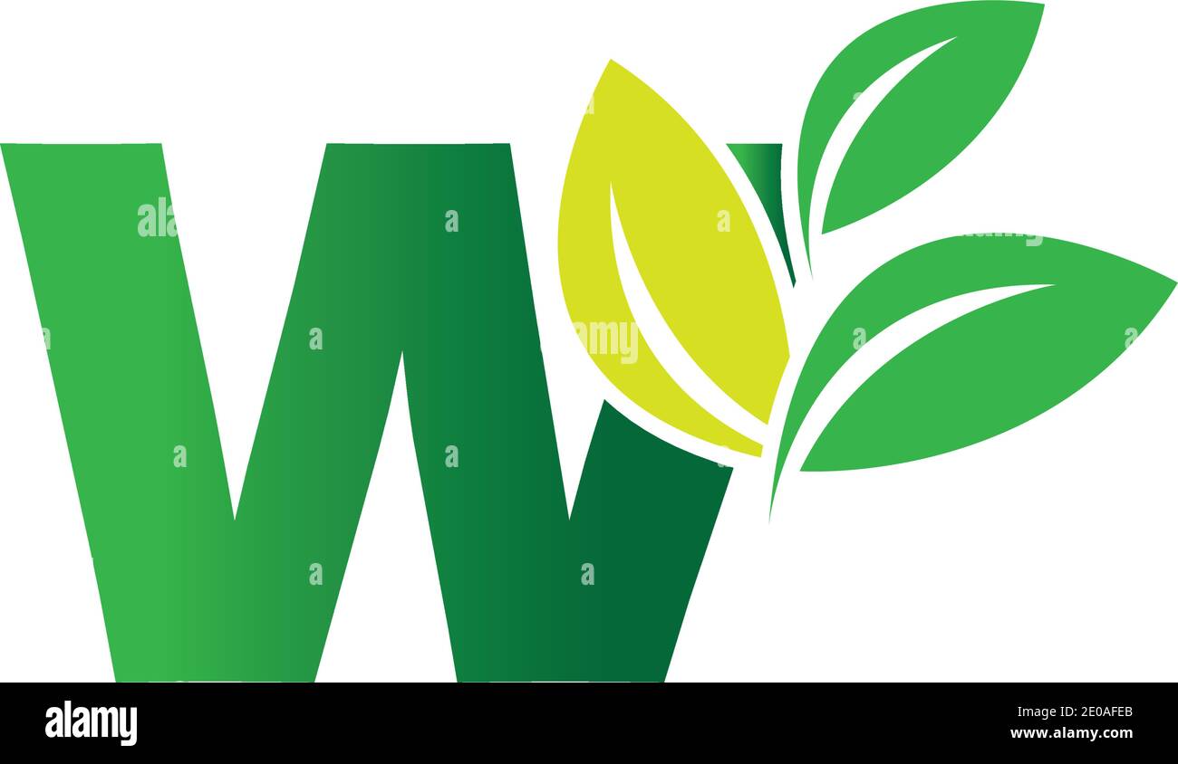 Letter W Leaf Logo Design Vector Template Stock Vector Image & Art - Alamy