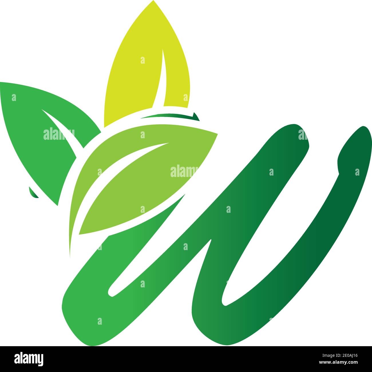 Letter W Leaf Logo Design Vector Template Stock Vector Image & Art - Alamy