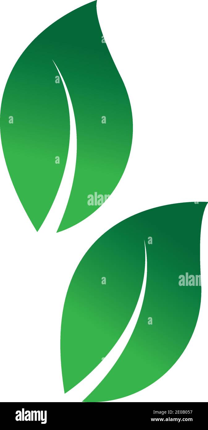 green leaf logo vector Stock Vector Image & Art - Alamy