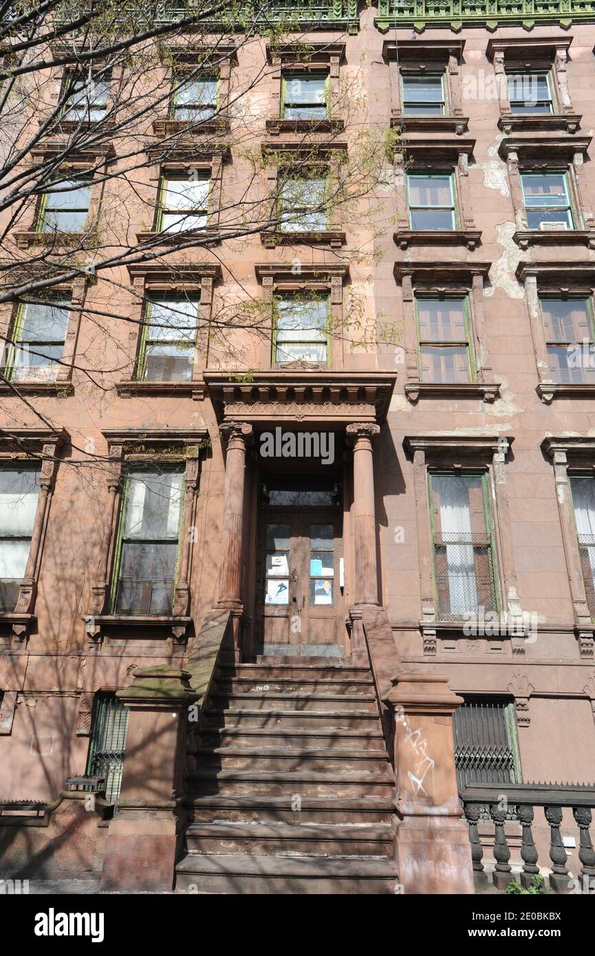 Moda rinascimentale di Harlem 1920