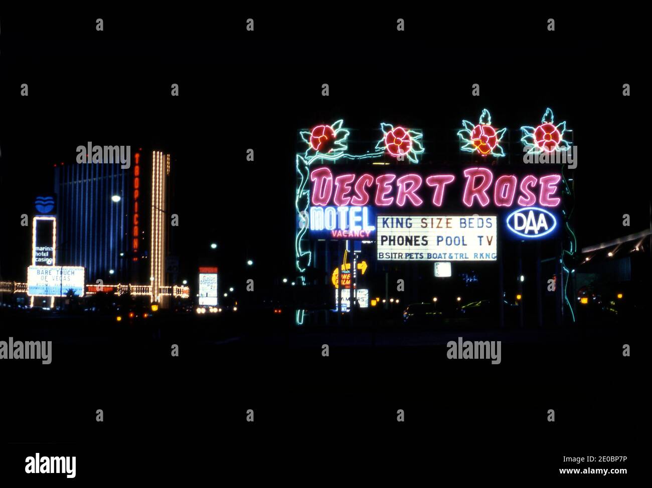 The Desert Rose Motel neon sign in Las Vegas, Nevada Stock Photo