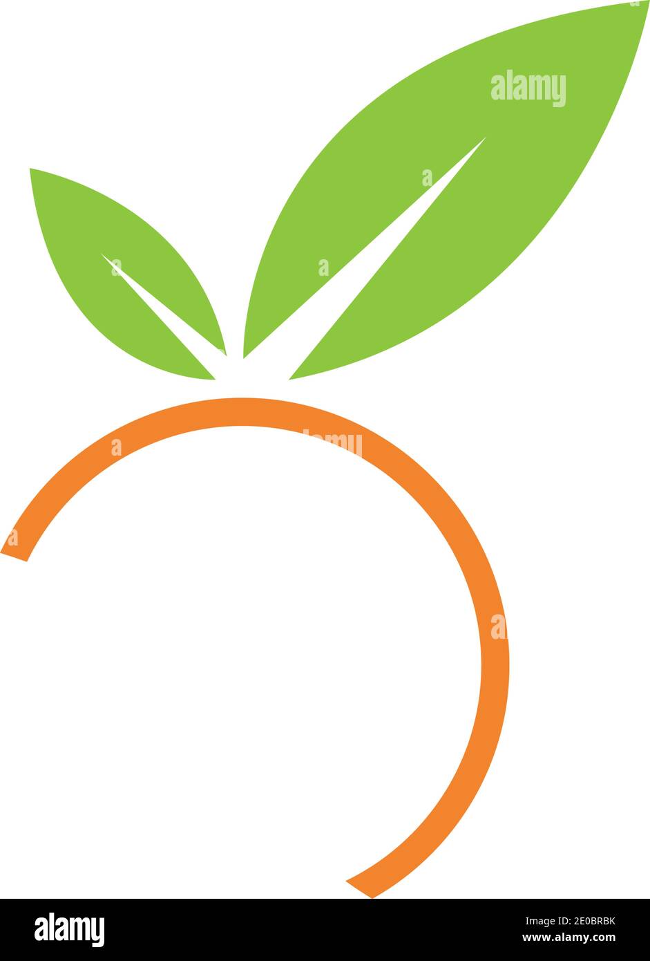 Orange logo design Vector icon illustration design Stock Vector