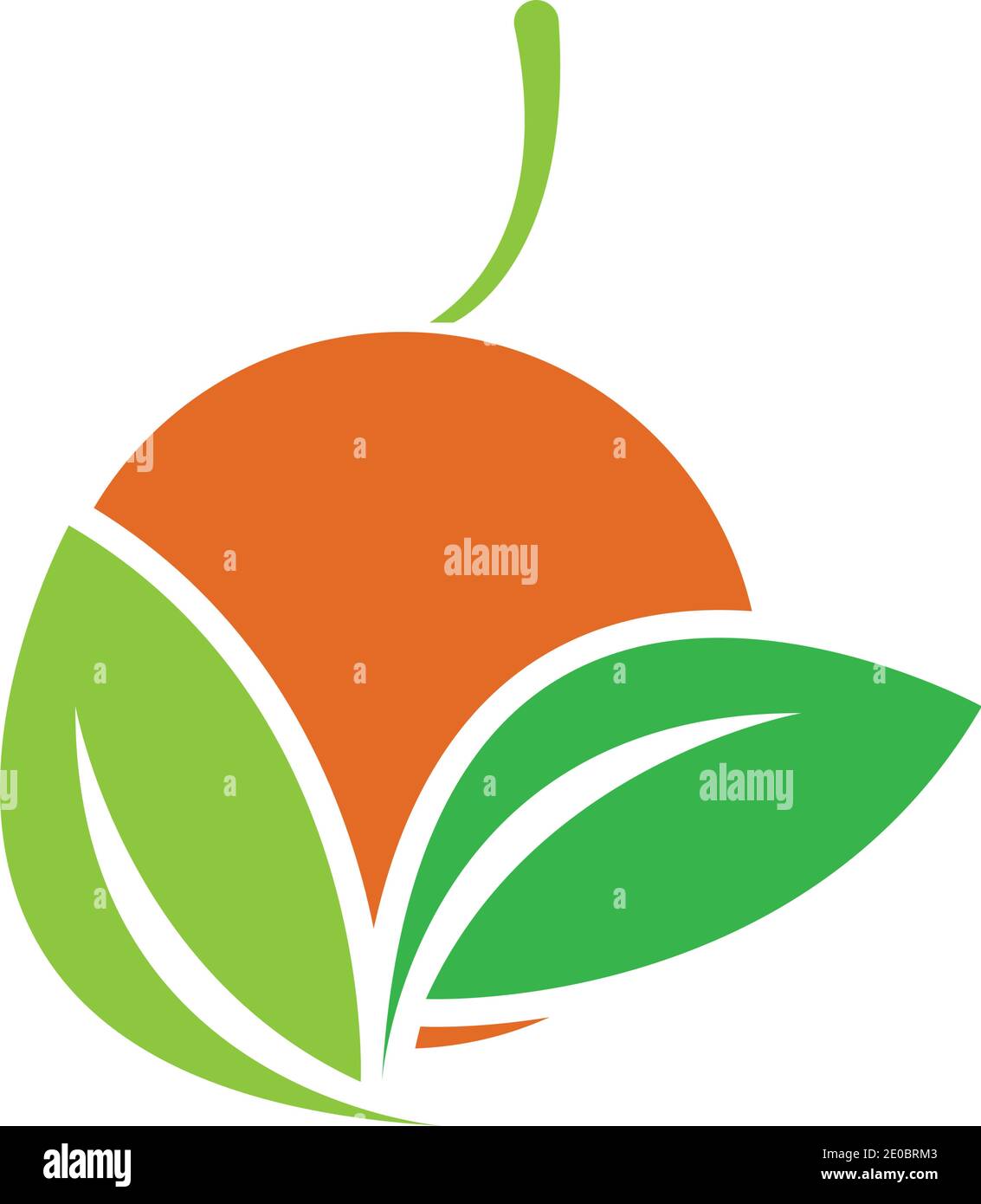 Orange logo design Vector icon illustration design Stock Vector
