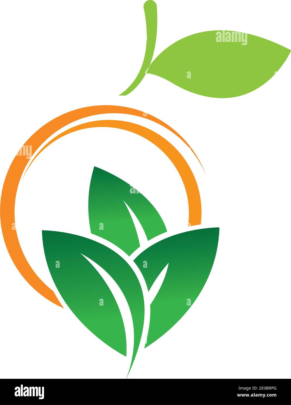 Orange logo design Vector icon illustration design Stock Vector