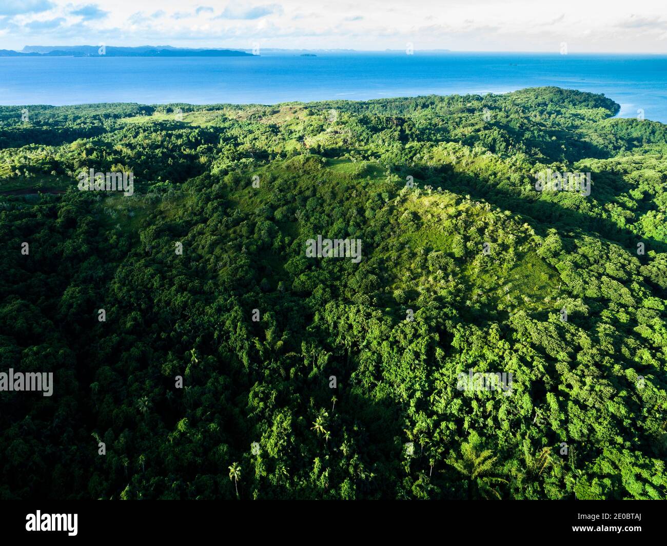 Rain forest and Pacific ocean, and local ruin Ked, also Terrace, is sculpted landform, Aimeliik, Island of Babeldaob, Palau, Micronesia, Oceania Stock Photo