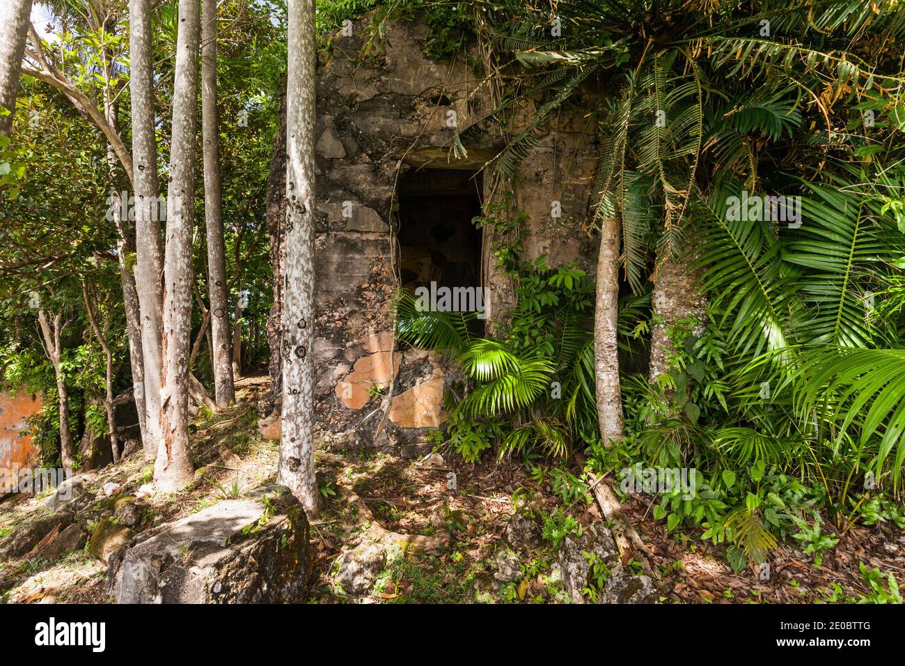 Ruins of Japanese WWII Lighthouse, Ngarchelong, Arekalong peninsula, Island of Babeldaob, Palau, Micronesia, Oceania Stock Photo